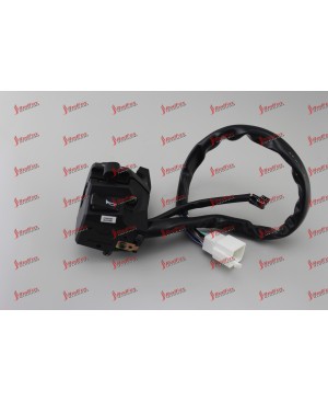 Left side Combination Switch Assembly