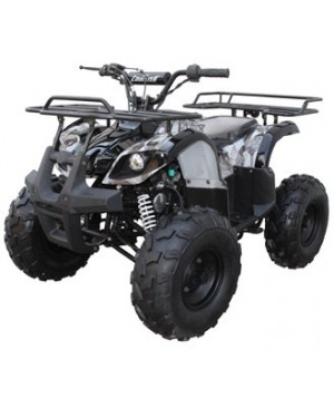 125cc Gas ATV Kids with Utility style rack, Automatic/w Reverse, 16inch Tire, Remote shut off switch