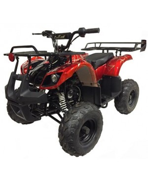 125cc Gas ATV Kids with Utility style rack, Automatic/w Reverse, 16inch Tire, Remote shut off switch