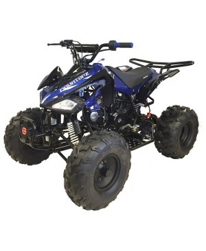125cc Gas ATV Sport Style, Automatic/w Reverse, Big 18/19inch Tire