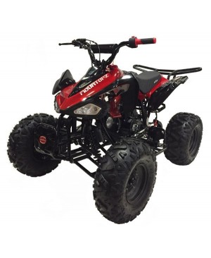 125cc Gas ATV Sport Style, Automatic/w Reverse, Big 18/19inch Tire