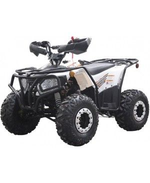 200cc ATV Rhino 200, Kids/Youth/Adult Size,19" Tire, Auto w/Reverse, Full Body Roll Cage, Foot Brake