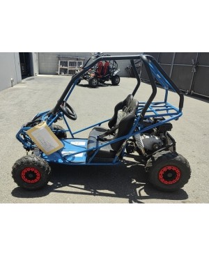 200cc GVA Go Kart, Auto with reverse, High Power Engine, Front/Rear Independent Suspension, Remote Control Shutoff, Spare Wheel (Brand New, Ready to Ride Package)
