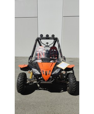 200cc DF GKF Fully Loaded adult Gas Go-kart with Auto Tranny/Reverse (Brand New, Ready to Ride Package)