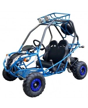 200cc GVA-21 Go Kart, Auto with reverse, High Power Engine, Rear Independent Suspension, Remote Control Shutoff, Spare Wheel 