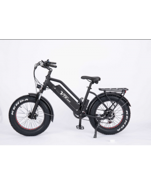 500W electric bicycle BMX style B3 with 20 inch fat tire, front and rear disc brake, LED speedometer, 20mph, Max range 37mi