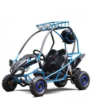 200cc Kids Go Kart Type-GVS, Automatic, Spare Wheel, remote control shutoff