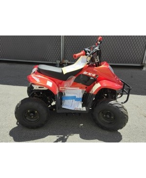 110cc Gas ATV Kids with 6inch wheel, electric start, remote shut off switch (Brand New, Ready to Ride Package)