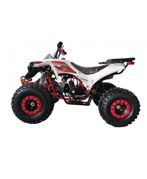 125cc Gas ATV for Kids and Adult, Automatic/w Reverse, Big 18/19inch Tire, Sports Utility Style Body, available in 2 tone color