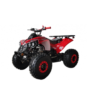 125cc Gas ATV for Kids and Adult, Automatic/w Reverse, Big 18/19inch Tire, Sports Utility Style Body, available in 2 tone color
