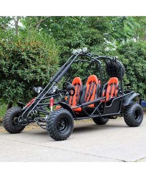 200cc Adult Gas Go-Kart 4 Seater DF GHD with Auto Tranny/Reverse Gear