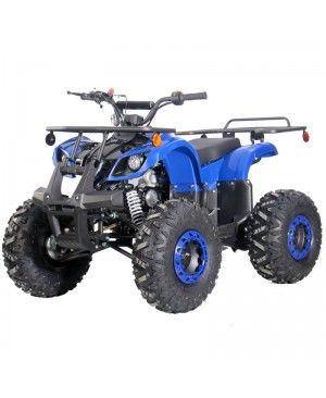 125cc Kids ATV RFP-Grizzly, Kids/Youth Size,19" Tire, Auto w/Reverse, Foot Brake