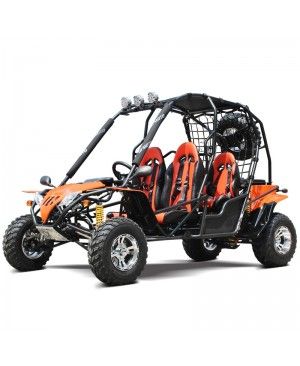 200cc Adult Gas Go-Kart 4 Seater DF GHA With Auto Tranny/Reverse Gear