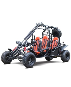 200cc Adult Gas Go-Kart 4 Seater DF GHD  with Auto Tranny/Reverse Gear