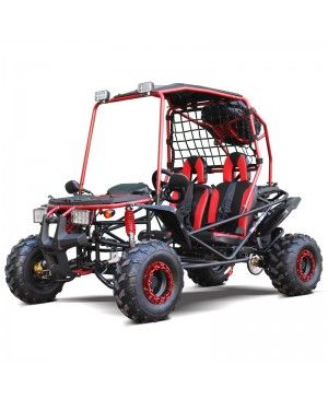 200cc GSX Go Kart, Full Size for Adult and Big Kids, Auto with Reverse, High Power Engine, Spare Wheel