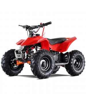50cc Mini ATV Speed Star High Power Two-Stroke with Big Size 14.5 Inch Real Off Road Tire, front and rear coil suspension