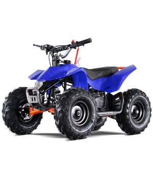 50cc Mini ATV Speed Star High Power Two-Stroke with Big Size 14.5 Inch Real Off Road Tire, front and rear coil suspension