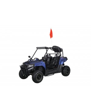 200cc DF Full Adult Gas UTV Go-Kart Side By Side With Auto Tranny W/ Reverse