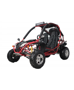 200cc adult Gas Go-kart Deluxe DF GKA with Auto Tranny/Reverse