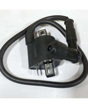 Ignition Coil for 250cc Motor