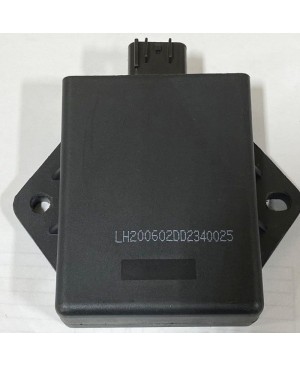 CDI Box for 300cc Motor