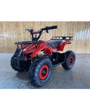 Electric Mini ATV 500W, Powerful Electric Motor, Grizzly Clone with Big Size Tire, with Reverse, Alarm, Remote Kill Switch