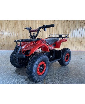 Kids ATV Electric 500W, Powerful Electric Motor, Grizzly Clone with Big Size 16 inch Tire, with Reverse, Alarm, Remote Kill Switch