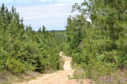 The Hatfield-McCoy Trails Wst Virginia ATV Riding