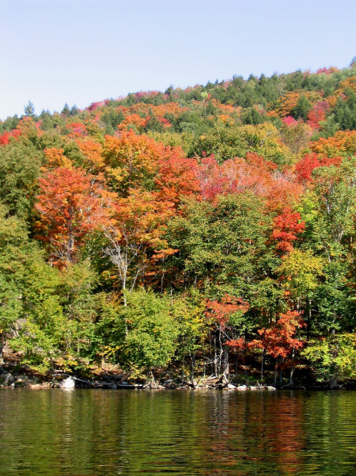 Mattawamkeag River ATV Riding