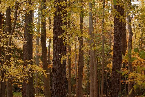 Michigan ATV Friendly State Parks