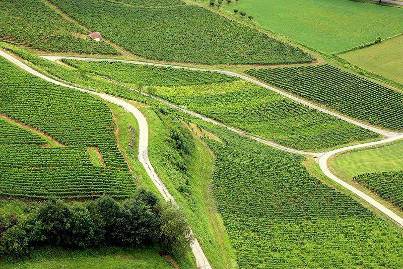 Wine tasting off road riding trail