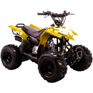 coolster atv 3050b