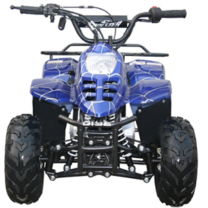 coolster atv 3050b