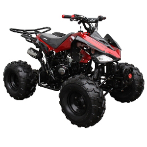 Coolster ATV 3125C-2