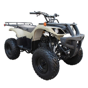 Coolster ATV 3150DX2.jpeg