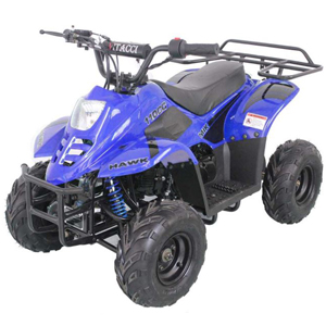 cougar-cycle atv Hawk6