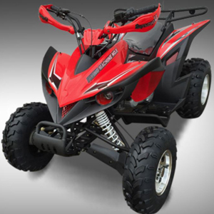 cougar-cycle atv flyingMachine200