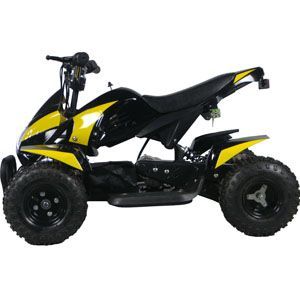 go-bowen atv GOBI