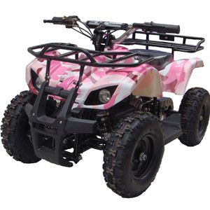 go-bowen atv SONORA