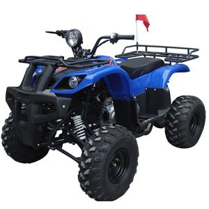 roketa atv ATV-113S(L8P)