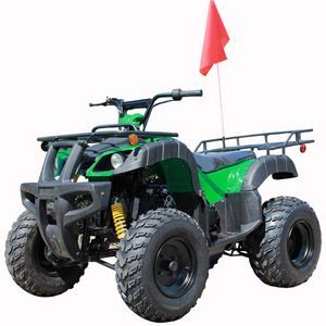 roketa atv ATV-118-200