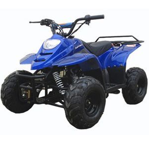 roketa atv ATV-20C-110(LJ5)