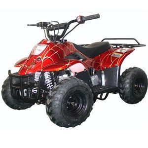 roketa atv ATV-20K-110(L8Y)