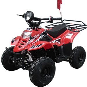 roketa atv ATV-20RS(L8P)