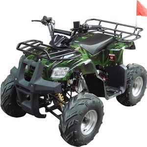 roketa atv ATV-25R(RTB-110)(L4G)