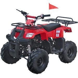 roketa atv ATV-25RS(L8P)