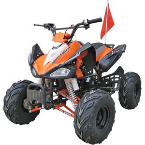 roketa atv ATV-98AS(L8P)