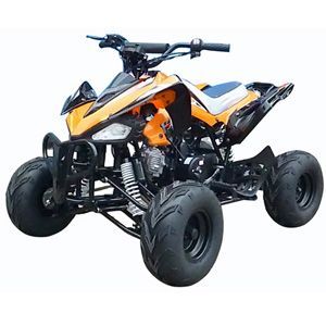 roketa atv ATV-98KS-110(L8Y)