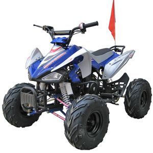 roketa atv ATV-98S(L8P)