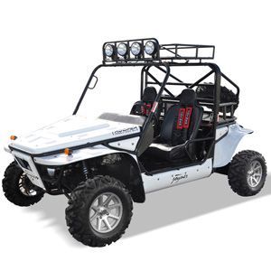 roketa go-kart UV-25(TR1100-T2)